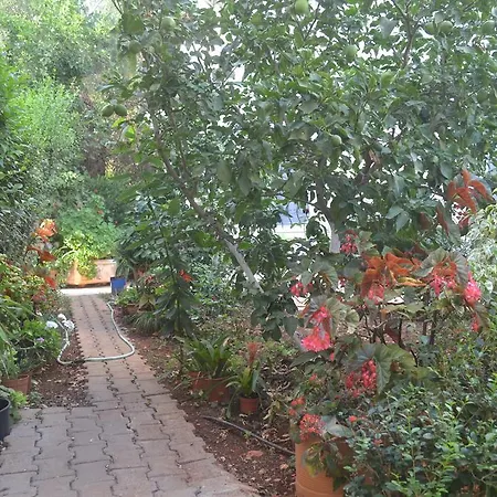 Apartman Apart Sevgi Kaş